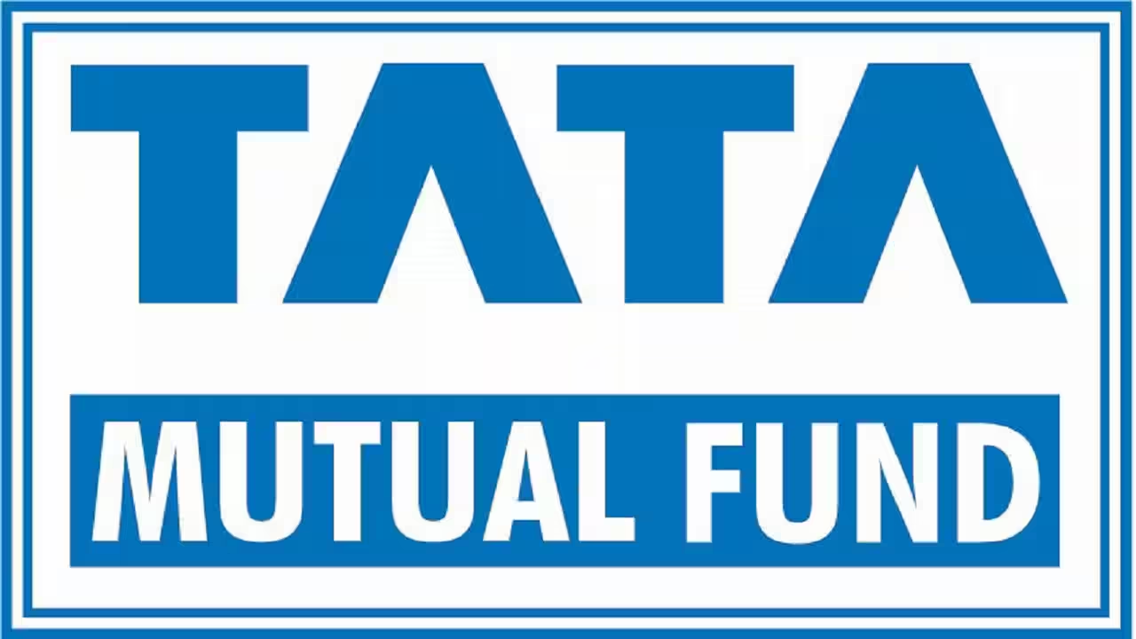 tatamf